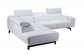 Graceful Leather Sectional with Chaise