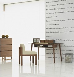 Contemporary Office Desk with Storage