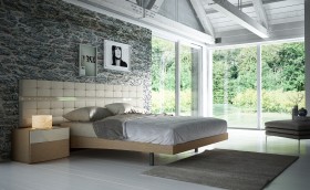 Fashionable Wood Platform and Headboard Bed with Lights