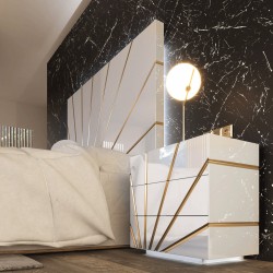 Stylish Quality Luxury Modern Furniture Set with Extra Storage Case