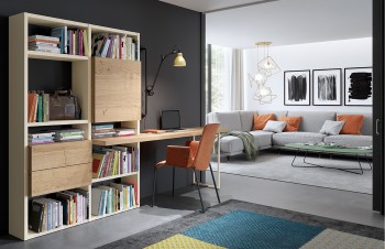 Modern Natural Wood Wall Unit for Living Room Modern Natural Wood Wall Unit for Living Room