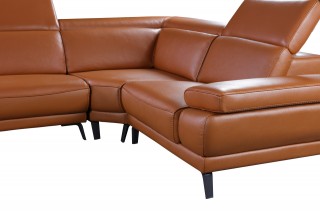 Elegant Top Grain Leather Sectional