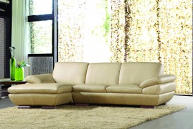 Exquisite All Real Leather Sectional