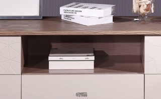 Contemporary TV Stand in High Gloss