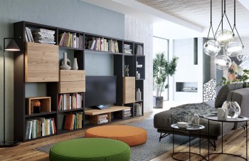 Modern Wall Unit and Book Case with Natural Wood Elements