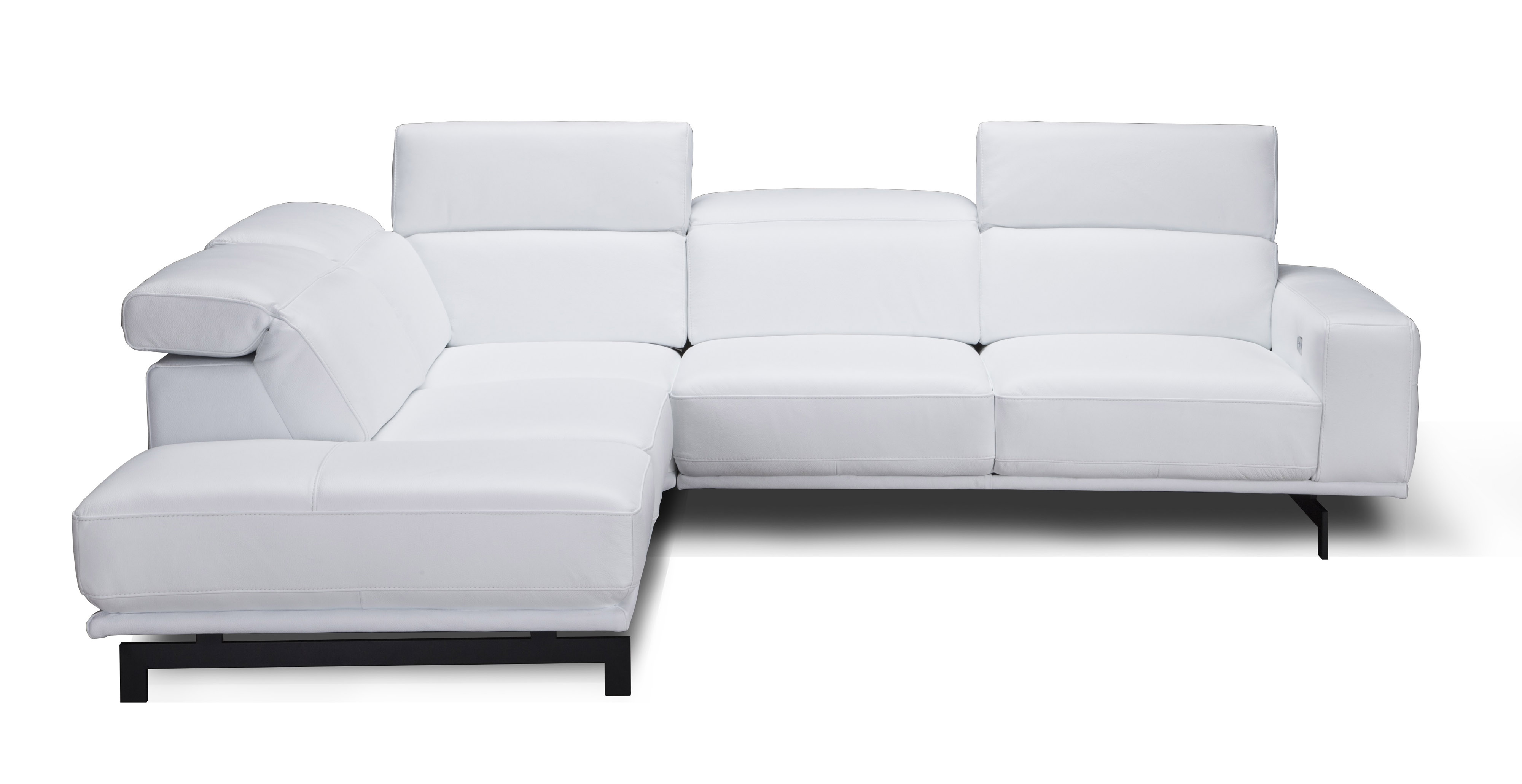 Graceful Leather Sectional with Chaise