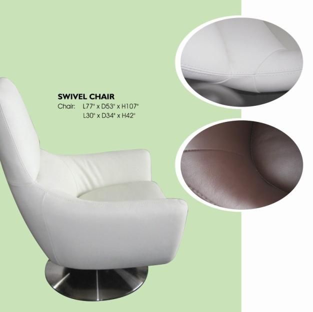 Navis Contemporary Premium Leather Club Chair