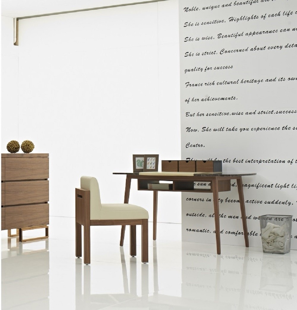 Contemporary Office Desk with Storage - Click Image to Close