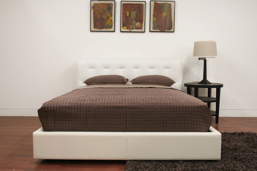 Exotic Leather Platform and Headboard Bed San Antonio Texas WSICHE