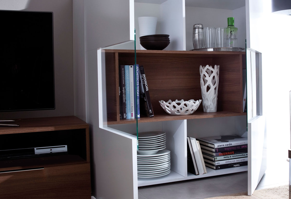 Grand Contemporary Wall Unit with Glass Doors and a Shelf Pittsburgh